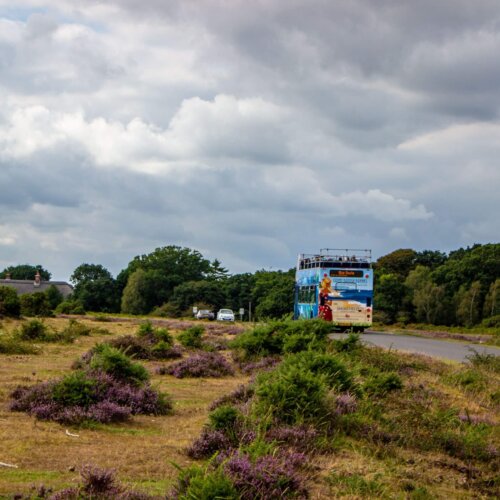 Open-top blue bus tour around The New Forest – Brockenhurst | Burley | New Milton | Lymington