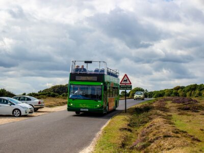 Green tour: New Forest’s scenic, coastal open top bus