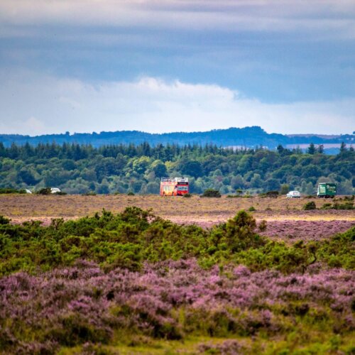 Red tour: New Forest’s wild northwest open top bus