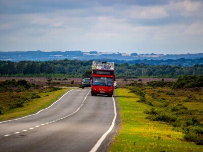 Red tour: New Forest’s wild northwest open top bus
