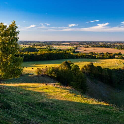 Quintessential view over central Bedfordshire from the Pegsdon Hills during the golden hour