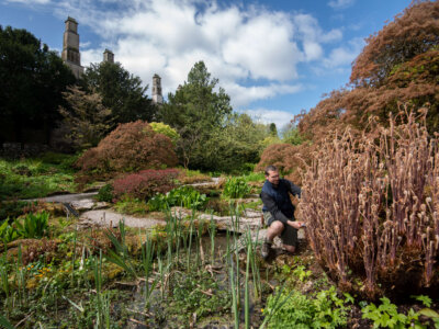 The best National Trust gardens in Cumbria to see this spring by bus