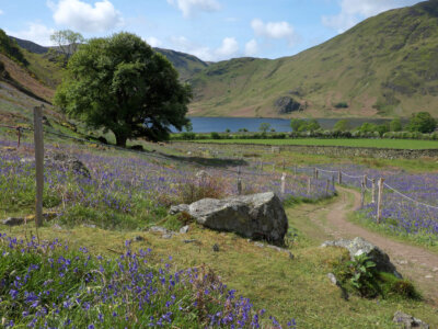 10 of the best spring walks in Cumbria and the Lake District – and all accessible by bus