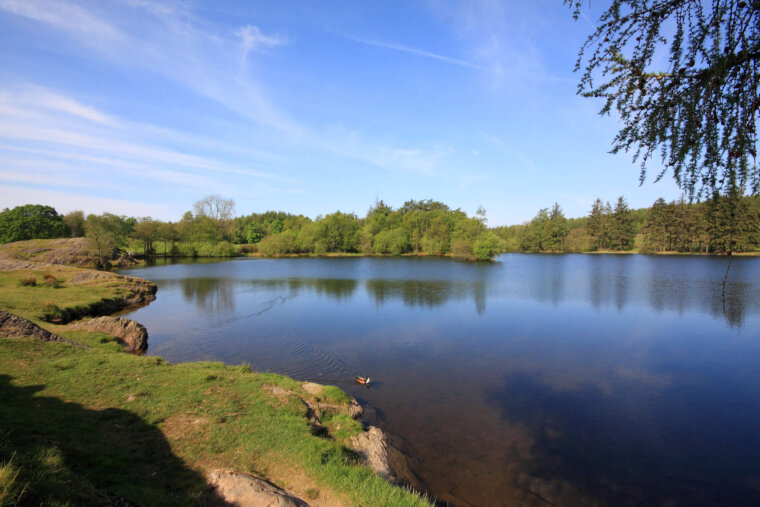 Moss Eccles Tarn