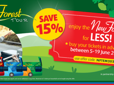 Save 15% on New Forest open-top bus tours this summer