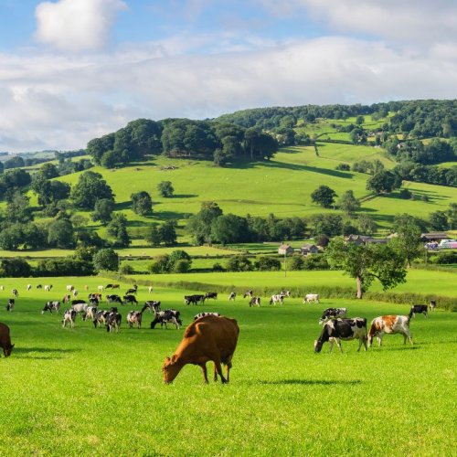 Peak District 172: Discover the hidden gems of Derbyshire, connecting Matlock and Bakewell via historic Winster and Youlgreave | Andrews of Tideswell