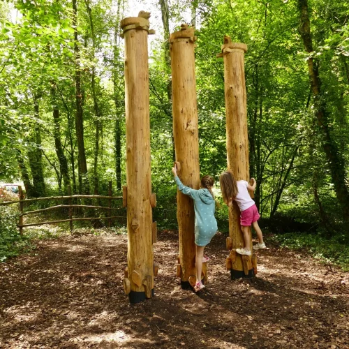 Bluestar 14: Southampton | West End | Hedge End