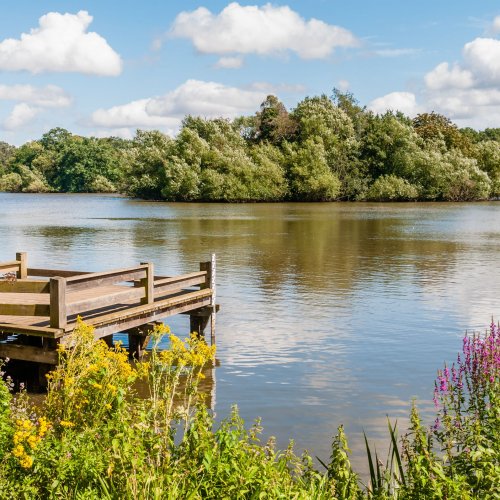 Weaver line to Chingford: Discover East London’s creative heart, connecting Hackney Downs, Walthamstow Central and more | Transport for London