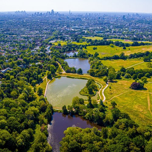 Experience the Northern Line: From the iconic Battersea to the leafy heights of Hampstead & Edgware | Transport for London