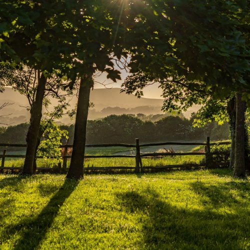 Bloomsbury Route 25: Sunday buses between Lewes, Firle, Berwick & Eastbourne