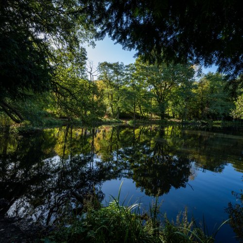 the allestree: Explore Derby’s green spaces with the allestree to Markeaton & Allestree Park | Trentbarton