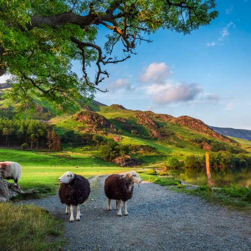 Lakes Line: Explore the Lake District from Lancaster by train