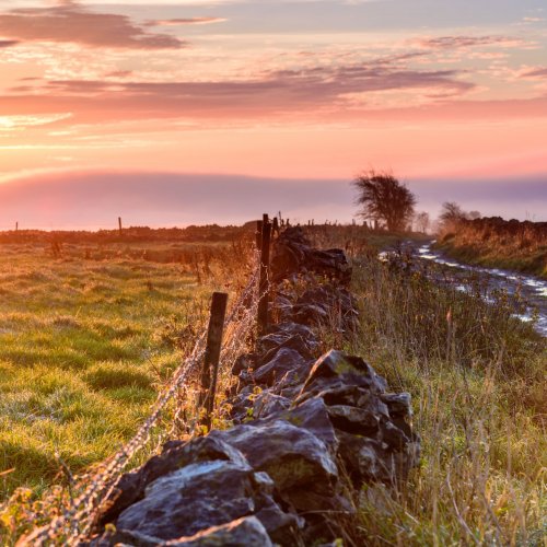 Transpeak: Explore the Peak District with the scenic bus from Derby to Matlock, Bakewell & Buxton | High Peak Buses